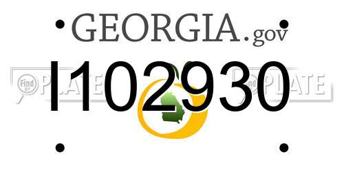 I102930 Georgia License Plate