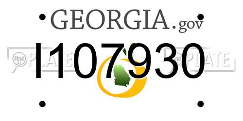 I107930 Georgia License Plate