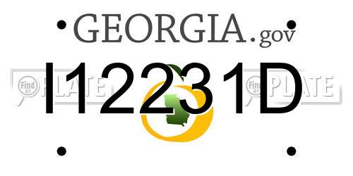 I12231D Georgia License Plate