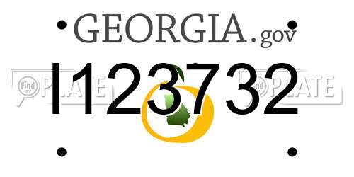 I123732 Georgia License Plate