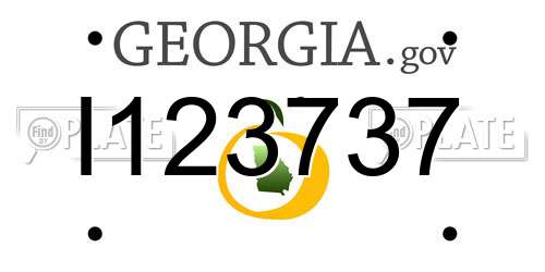I123737 Georgia License Plate