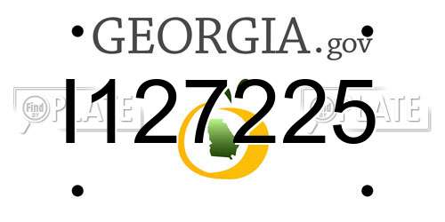 I127225 Georgia License Plate