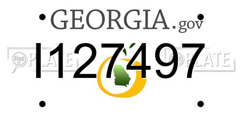I127497 Georgia License Plate