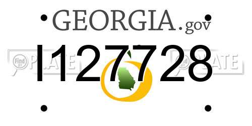 I127728 Georgia License Plate