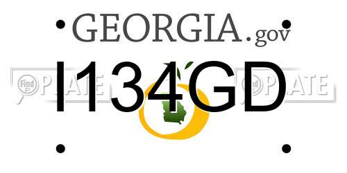 I134GD Georgia License Plate