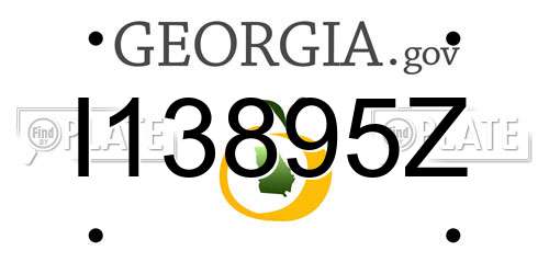 I13895Z Georgia License Plate