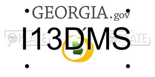 I13DMS Georgia License Plate