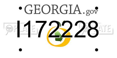I172228 Georgia License Plate