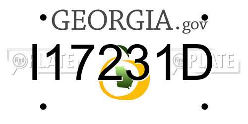 I17231D Georgia License Plate