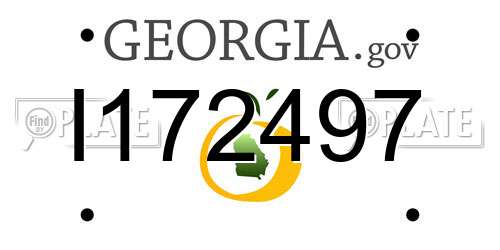 I172497 Georgia License Plate