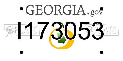 I173053 Georgia License Plate