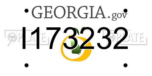 I173232 Georgia License Plate