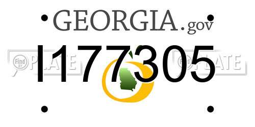 I177305 Georgia License Plate