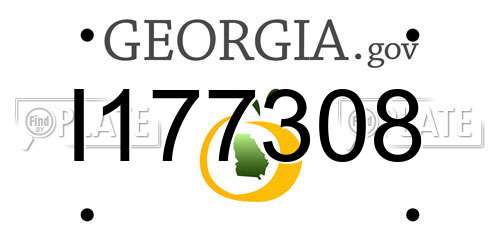 I177308 Georgia License Plate