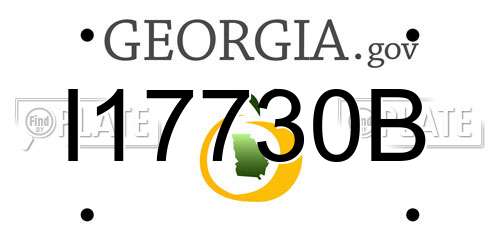 I17730B Georgia License Plate