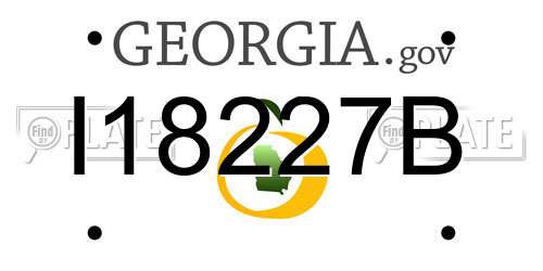 I18227B Georgia License Plate