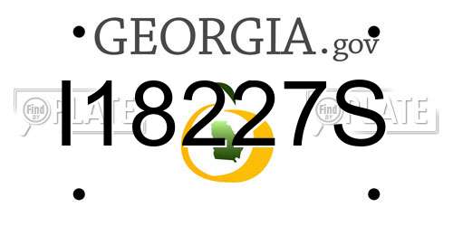 I18227S Georgia License Plate