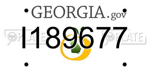 I189677 Georgia License Plate