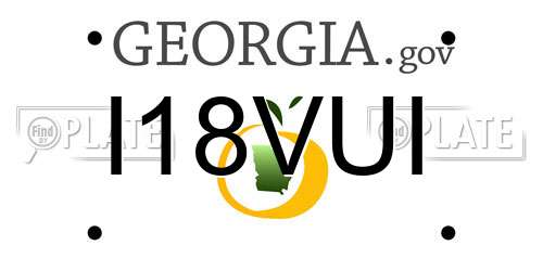 I18VUI Georgia License Plate