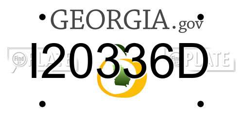 I20336D Georgia License Plate