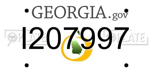 I207997 Georgia License Plate