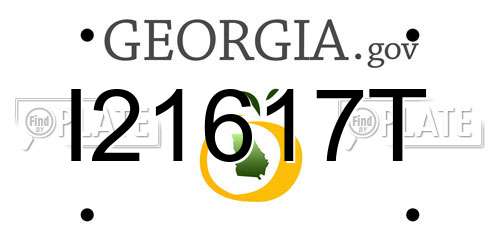 I21617T Georgia License Plate