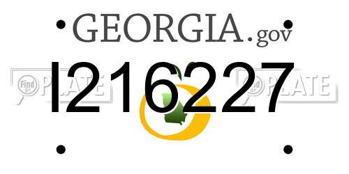 I216227 Georgia License Plate