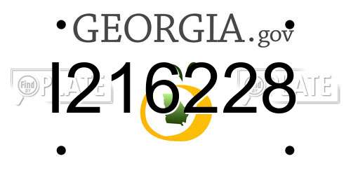 I216228 Georgia License Plate