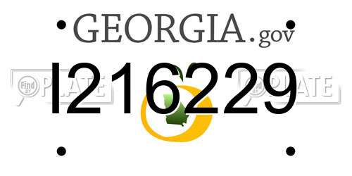 I216229 Georgia License Plate