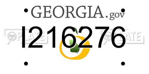 I216276 Georgia License Plate