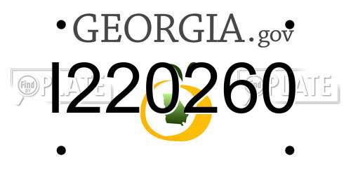 I220260 Georgia License Plate