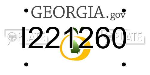 I221260 Georgia License Plate