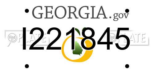 I221845 Georgia License Plate