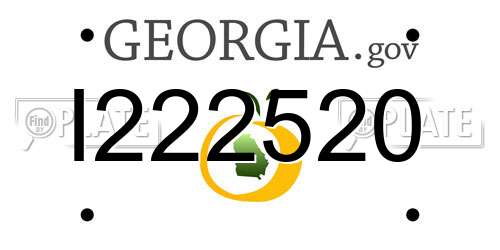 I222520 Georgia License Plate