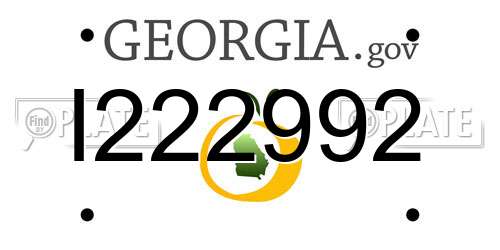 I222992 Georgia License Plate