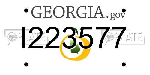 I223577 Georgia License Plate