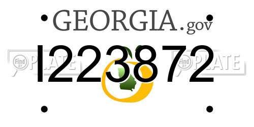 I223872 Georgia License Plate