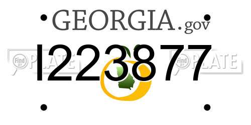 I223877 Georgia License Plate