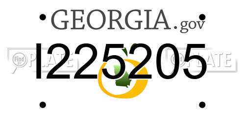 I225205 Georgia License Plate