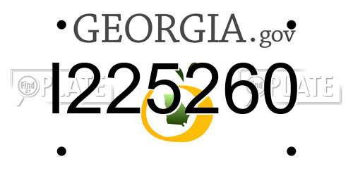 I225260 Georgia License Plate