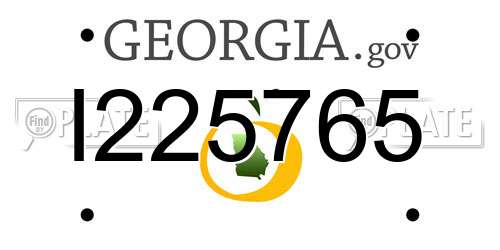 I225765 Georgia License Plate