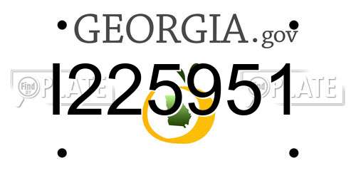 I225951 Georgia License Plate