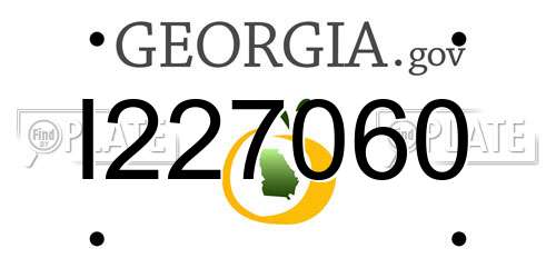 I227060 Georgia License Plate