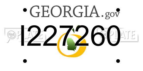 I227260 Georgia License Plate