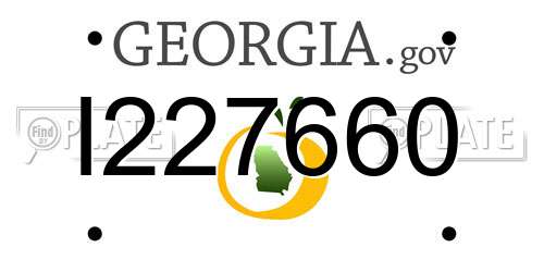 I227660 Georgia License Plate