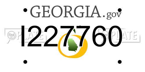 I227760 Georgia License Plate