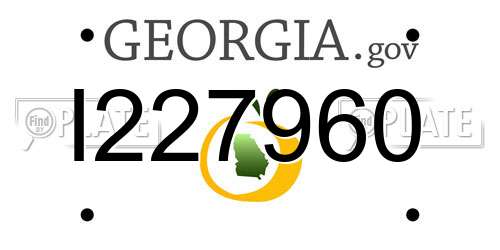 I227960 Georgia License Plate