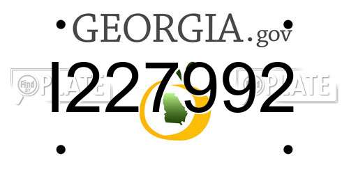 I227992 Georgia License Plate