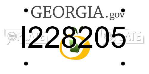 I228205 Georgia License Plate