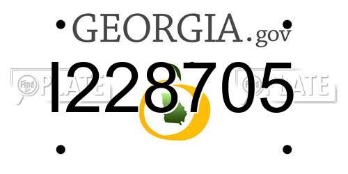 I228705 Georgia License Plate